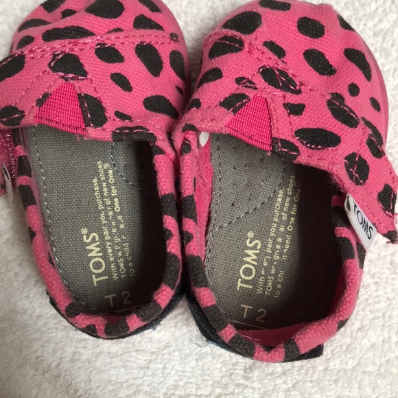 Tiny TOMS - Picture 5 of 5